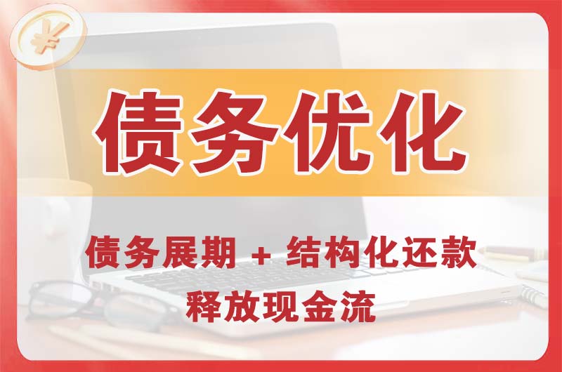 镇平债务优化