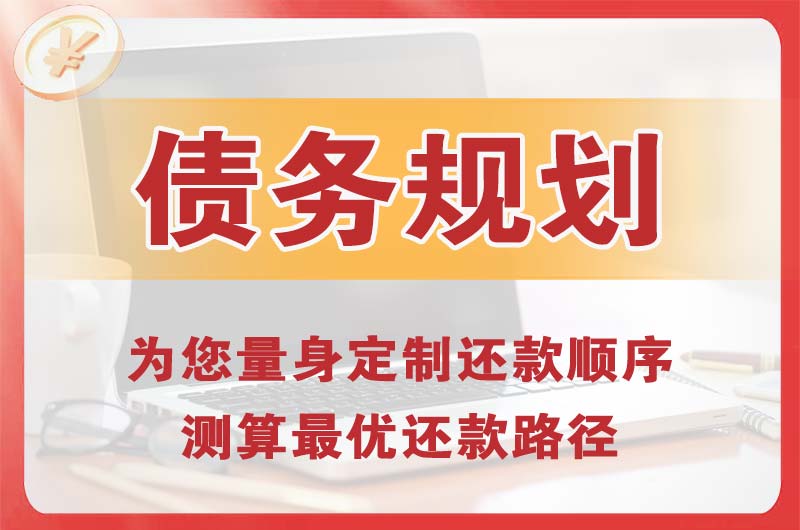 镇平债务规划